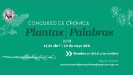 Imagen promocional del concurso Plantas|Palabras 2021.