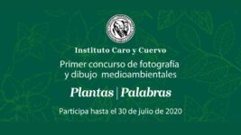 Imagen promocional del concurso Plantas|Palabras del ICC.