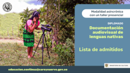 Diseño gráfico que provee información sobre la lista de admitidos al diplomado en Documentación audiovisual de lenguas nativas.